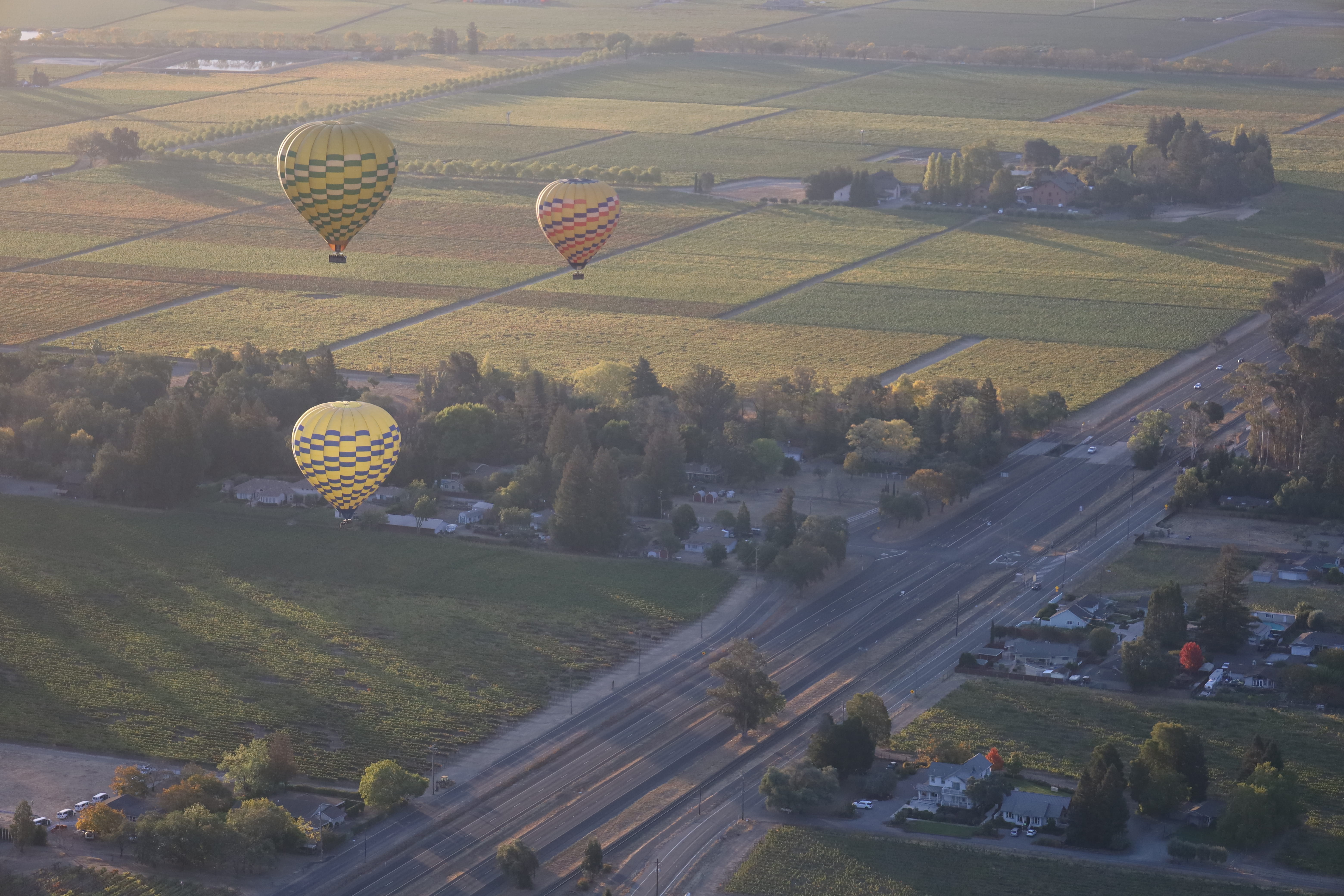 Balloons Over Fields